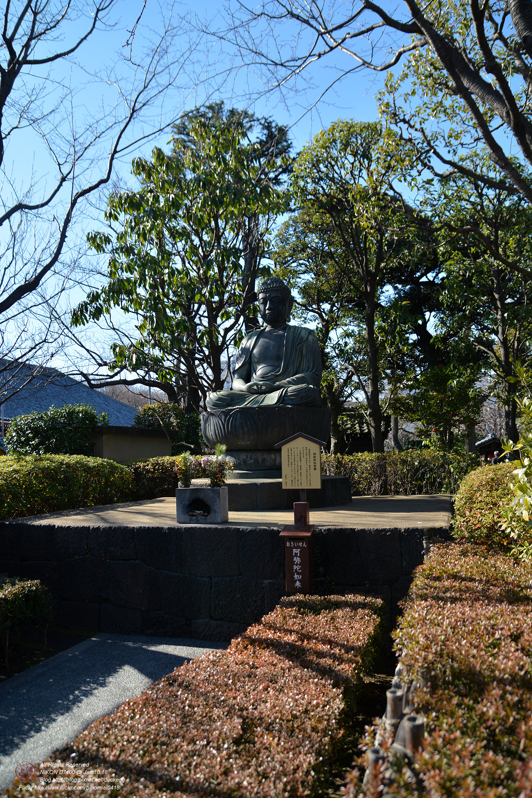 20180110111534_NIKON D7100.jpg